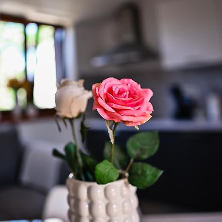 Apartment Barbara بيبينيا المظهر الخارجي الصورة