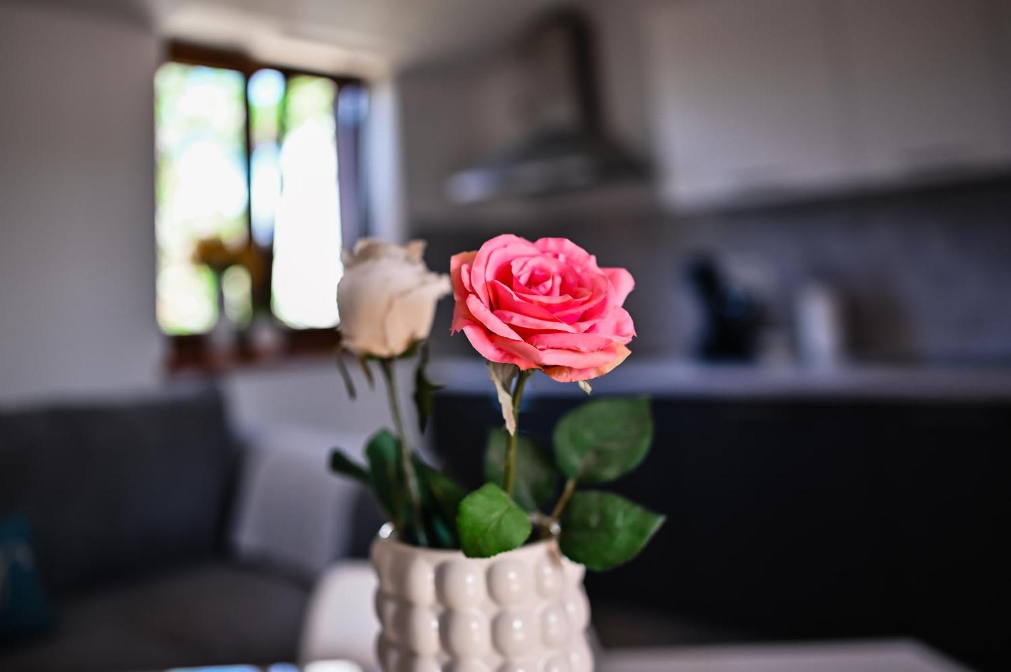 Apartment Barbara بيبينيا المظهر الخارجي الصورة
